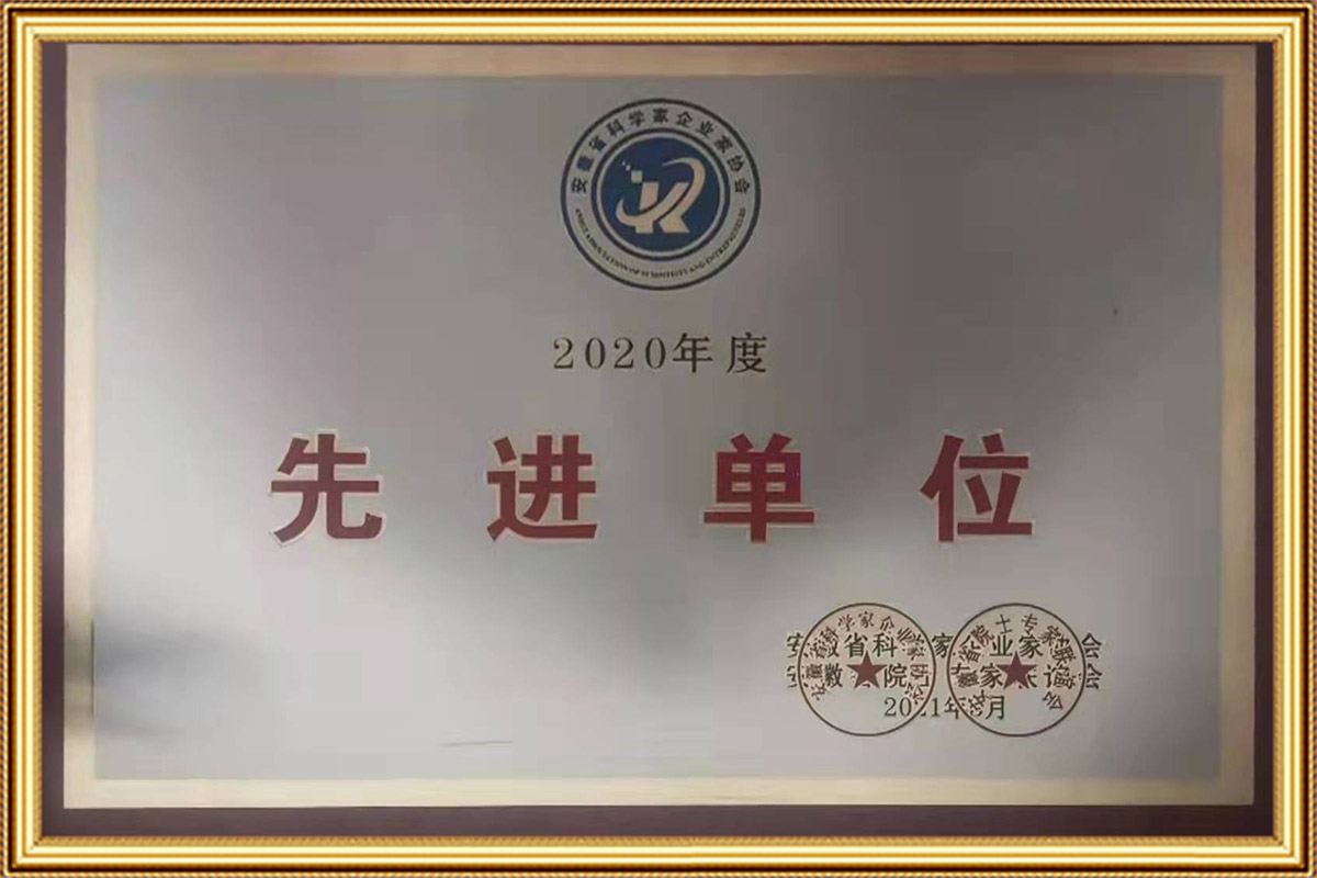 安徽省科學(xué)家企業(yè)家協(xié)會2020年先進單位