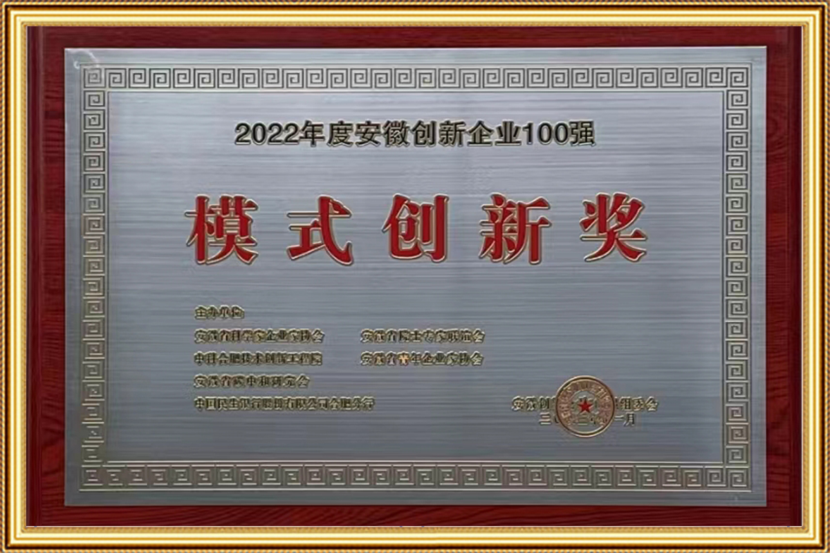 2022年度安徽創(chuàng)新企業(yè)100強-模式創(chuàng)新獎